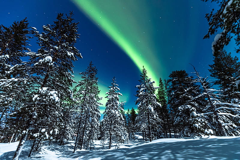 Northern lights, Lapland, Winter, Finland, Trees, Forest, Snow, HD wallpaper