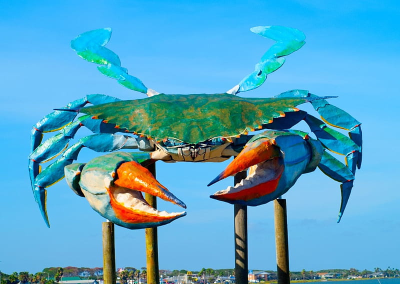 Big Blue Crab, crabs, parks, nature, beaches, HD wallpaper