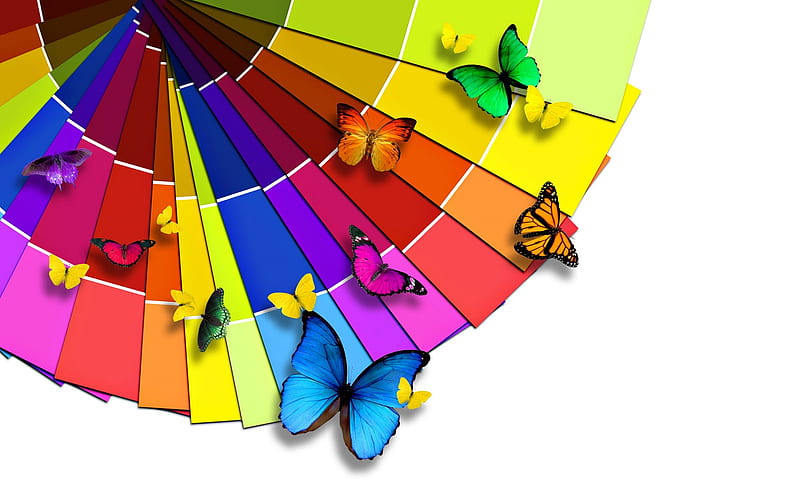 butterfly splotches, colorful, butterfly, paint, bright, rainbow, HD wallpaper