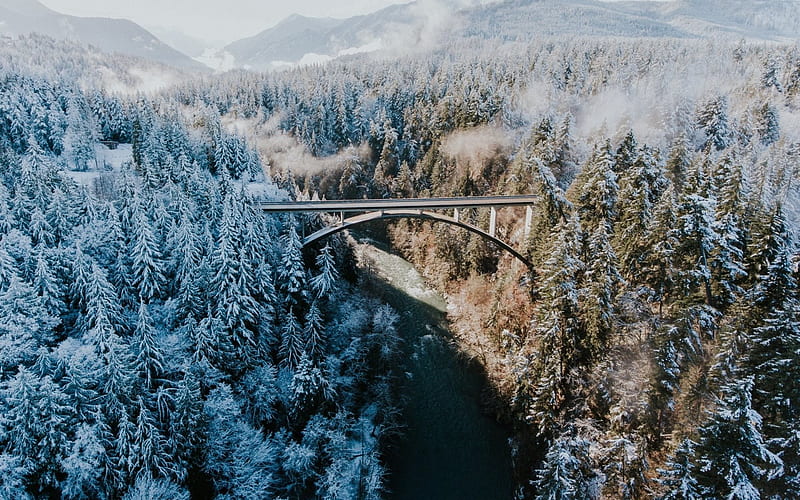 winter, forest, bridge, river, winter landscape, morning, HD wallpaper