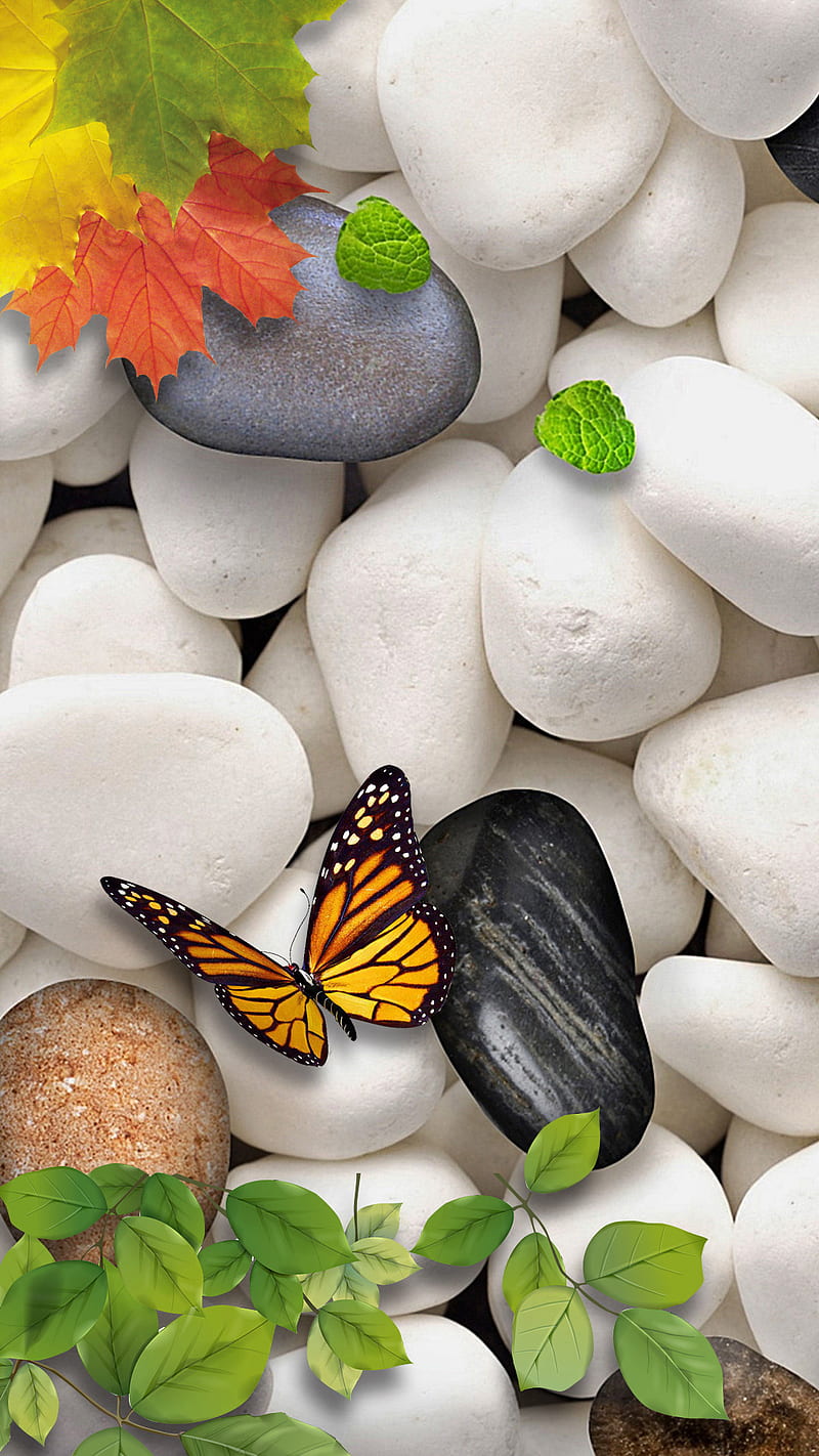 Pebbles beautiful, nature, HD phone wallpaper | Peakpx