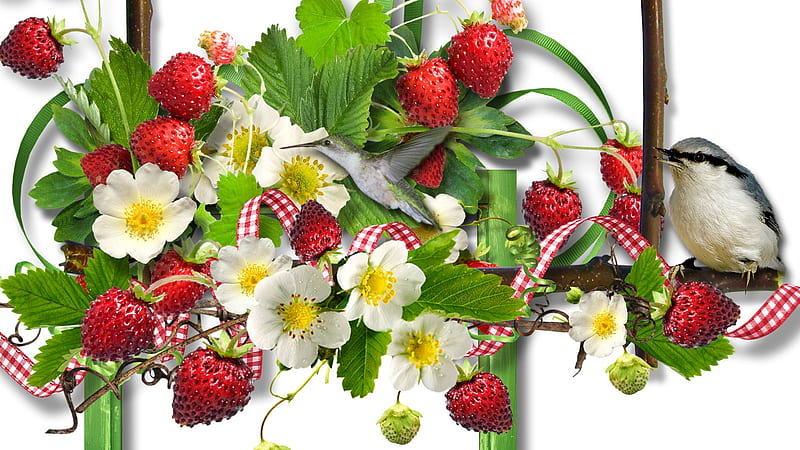 Wild Strawberries, summer, birds, flowers, strawberries, blossoms, spring, ribbons, sweet, HD wallpaper