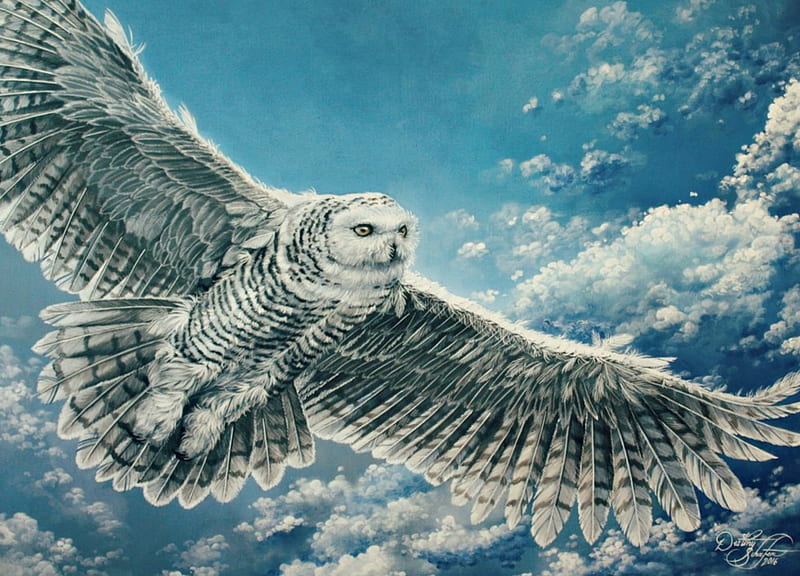 Snowy owl, art, wings, cloud, luminos, pasare, gimgams, sky, fantasy, feather, gris, hedwig, blue, HD wallpaper
