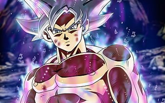 Goku Ultra Instinct Poster | Exclusive Art | Dragon Ball Super | DBZ | NEW  | USA