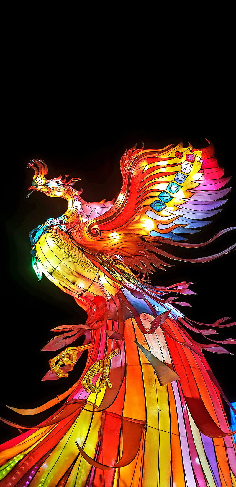 Phoenix , lantern, light, red, HD phone wallpaper