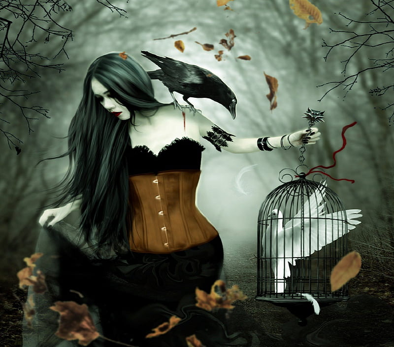 ✫Sad Victory✫, autumn, floating leaves, gothic girl, attractions in dreams, digital art, beautiful girls, manipulation, black veil, feathers, fall season, female, model, bird cage, ribbon, love four seasons, creative pre-made, dark, dove, weird things people wear, crow, branches, backgrouds, corset, HD wallpaper