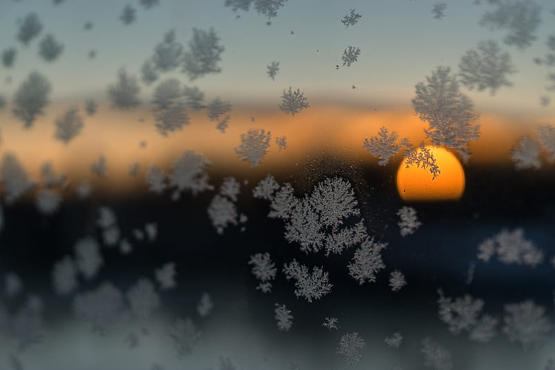Snow Flakes Sun Blurred Frost Winter , snowflakes, tree, nature, snow, HD wallpaper