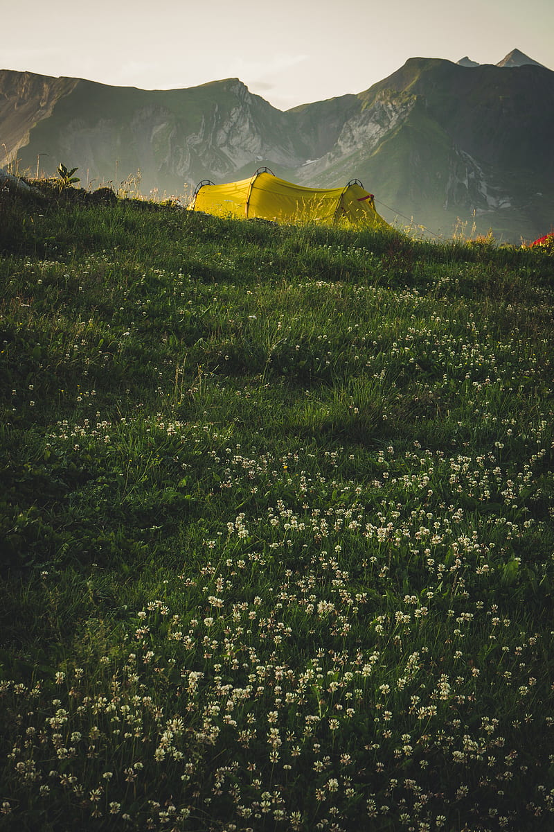 tent, camping, mountains, grass, nature, HD phone wallpaper