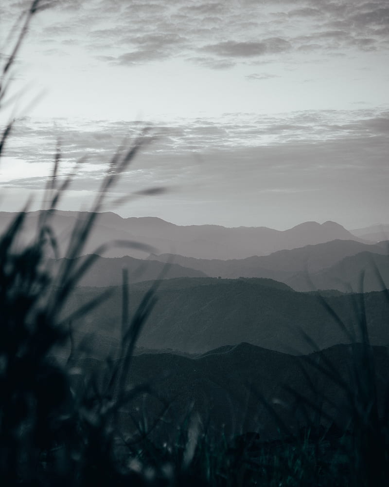 mountains, hills, fog, grass, landscape, HD phone wallpaper