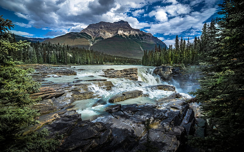Athabasca Falls, Canadian Rockies, Athabasca River, spring, mountain river, waterfall, forest, mountain landscape, Jasper National Park, Canada, HD wallpaper