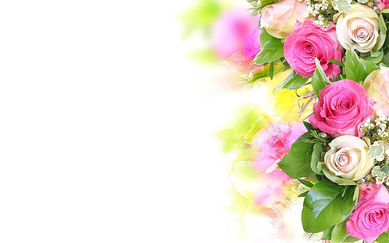 Roses ***, colorful, rose, flowers, nature, roses, HD wallpaper | Peakpx
