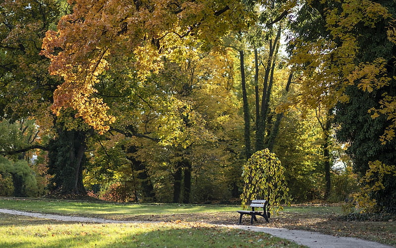 Autumn Park, bench, trees, autumn, park, path, HD wallpaper | Peakpx