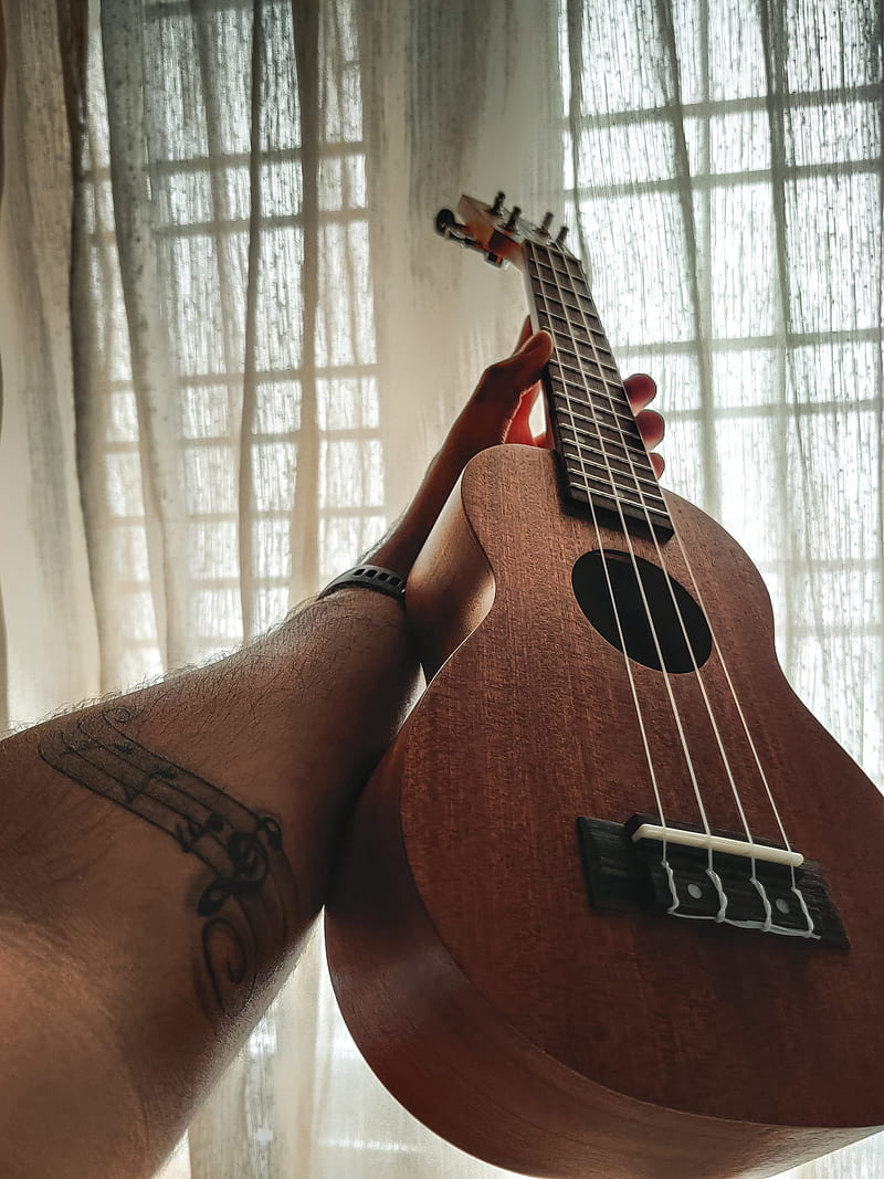ukulele, guitar, strings, music, hand, window, HD phone wallpaper