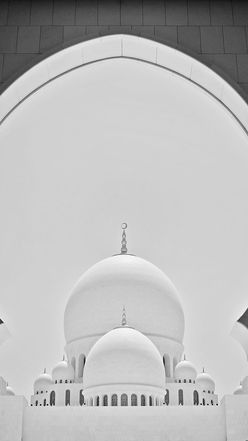 Oval shapes BW, Abu Dhabi, Architecture, Around, BW, Black and White, Emirates, Mosque, Oval, Shapes, HD phone wallpaper