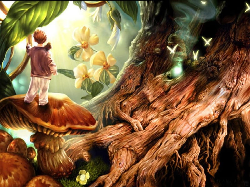 MAGICAL FOREST, forest, boy, flowers, magical, mushrooms, trees, HD wallpaper