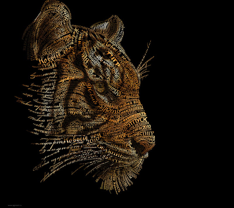 Bengal Tiger, big cats, carnivor, felines, predator, HD wallpaper