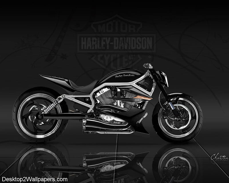 Harley-Davidson, black, custom, bike, h d, HD wallpaper