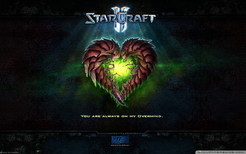 zerg valentine-StarCraft game, HD wallpaper