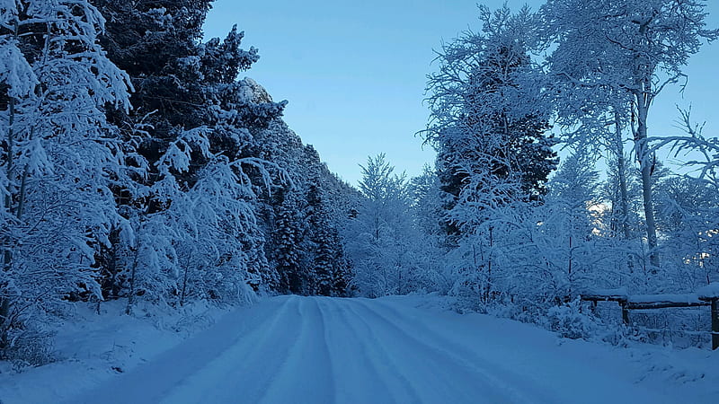 Snow covered road; Cody, Wyomng, Country Roads, Serene, Mountains ...