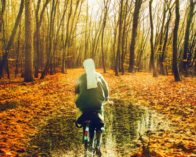 Autumn ride, autumn, leaves, nature, nan, trees, woman, HD wallpaper