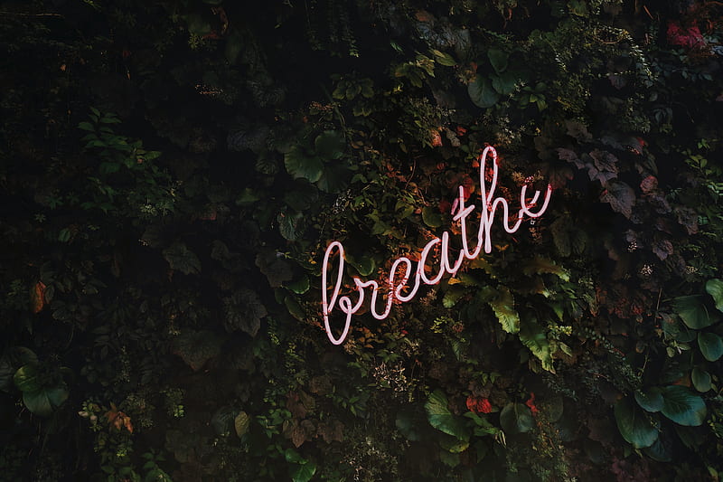 Breathe neon signage, HD wallpaper