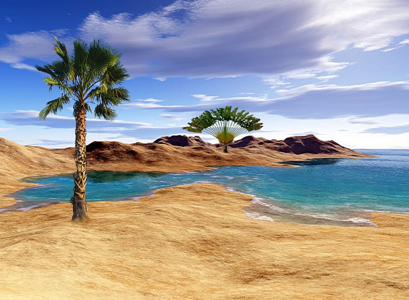 dune, palmtrees, clowds, sand, HD wallpaper
