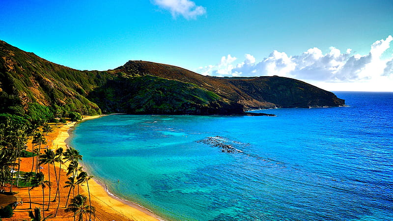 Coast Of Hawaii, coast, nature, HD wallpaper