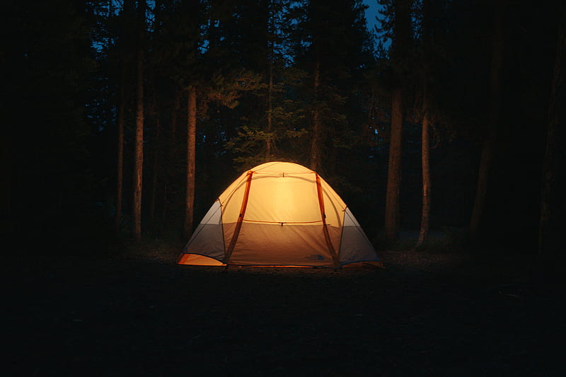 tent, camping, night, forest, dark, HD wallpaper