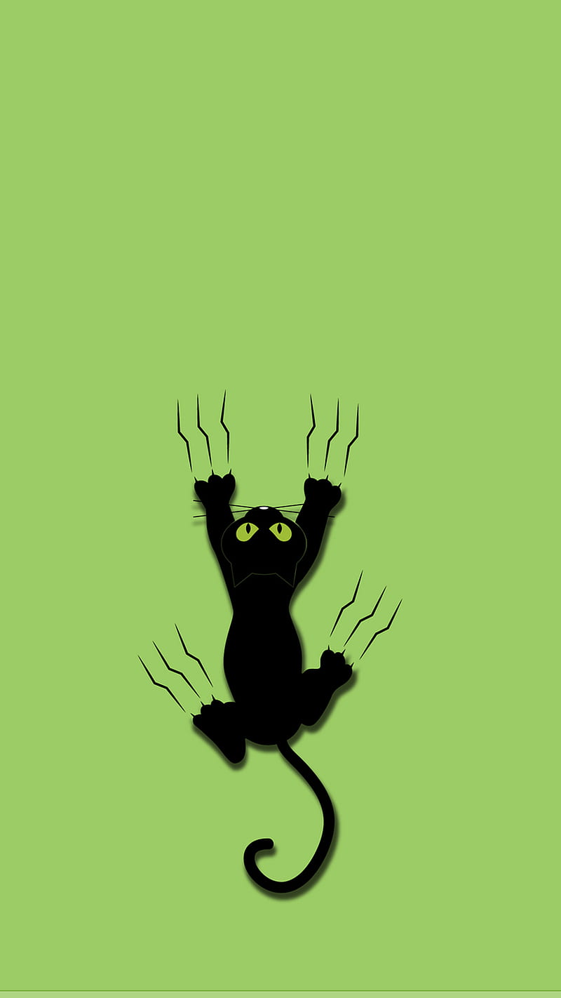 FUNNY CAT, black, cute, cats, panther cool, HD phone wallpaper