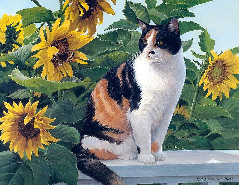 Cat, weirs, sunflower, animal, persis clayton, painting, summer, pictura, pisica, HD wallpaper