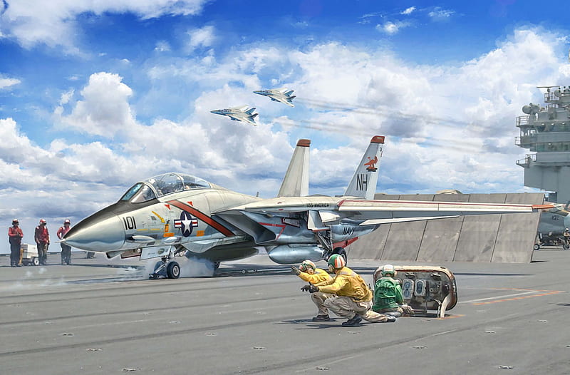 Jet Fighters, Grumman F-14 Tomcat, Aircraft, Jet Fighter, Warplane, HD wallpaper