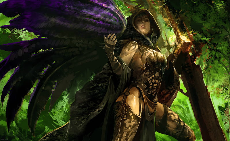 Guild Wars, fantasy warrior, original, angel, video game, armor, female warrior, black wings, sword, HD wallpaper