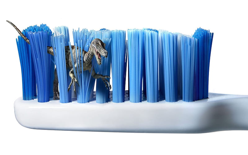 Toothbrush jungle- of foreign Creative Advertising, HD wallpaper