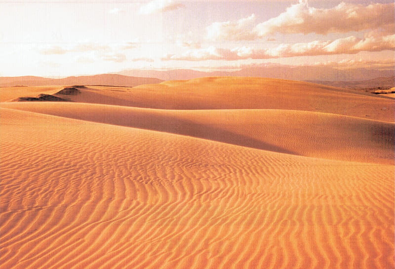 Sand Dunes, Sand, Arid, Desert, Dunes, Dry, HD wallpaper