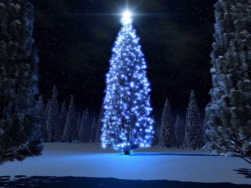 Magnificent Christmas tree, forest, tree, christmas, magic, magnificent, night, star, HD wallpaper