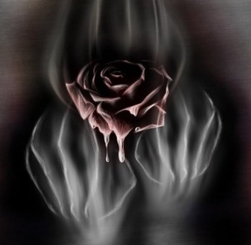 *Crying rose*, red, art, fantasy, sadness, shadow, roses, smoke, crying rose, HD wallpaper