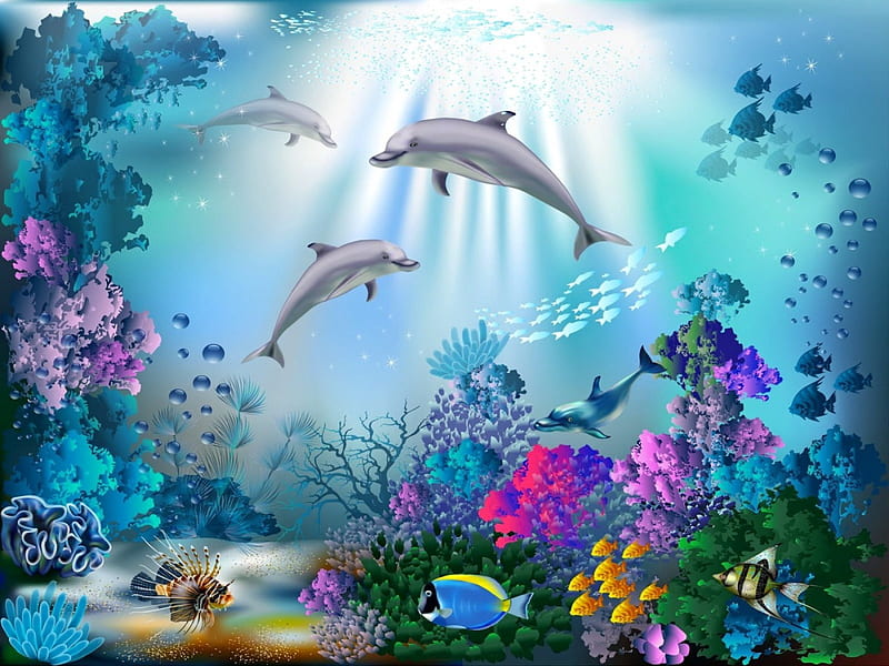 Underwater world, world, underwater, colorful, fish, ocean, bonito, algae,  vorals, HD wallpaper | Peakpx