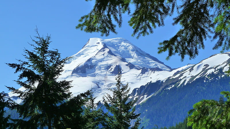 Beauty of Mount Baker, mount baker, snow, pacific northwest, evergreen, washington, trees, volcano, sky, HD wallpaper