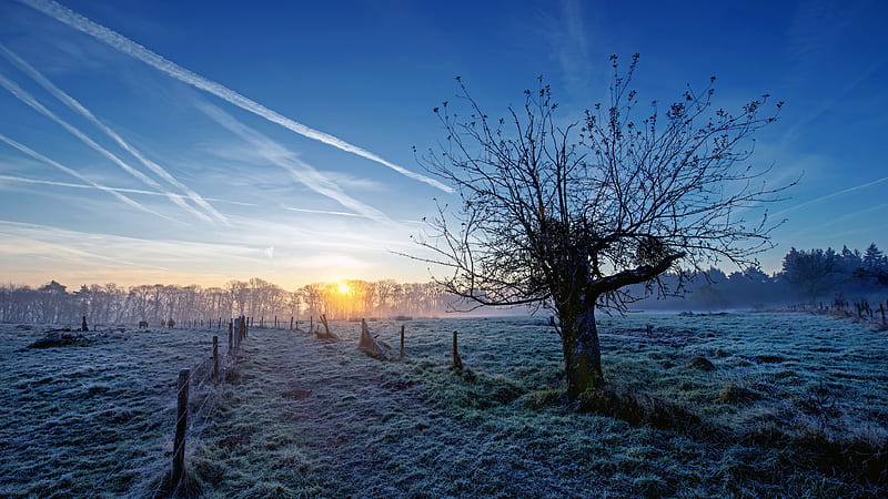 graphy, Landscape, Fence, Field, Morning, Tree, HD wallpaper