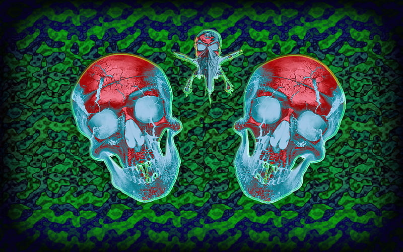 Skulls X-ray, skulls, green, abstract, alchemy, HD wallpaper