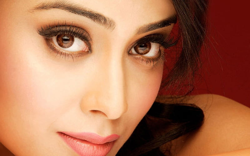 Shriya Saran, shriya, tamil, actress, saran, HD wallpaper