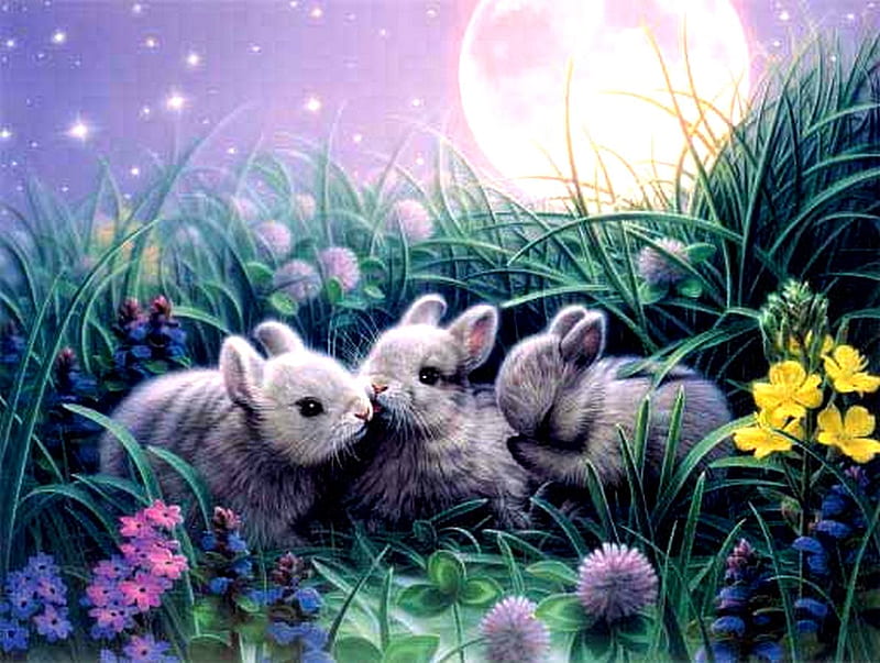 BABY BUNNIES, flowers, spring, bunnies, field, HD wallpaper