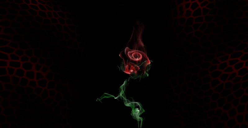 smoke rose, flower, digital, rose, smoke, HD wallpaper