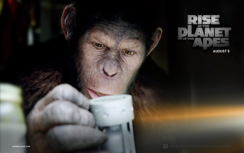 Rise of the Planet of the Apes movie 04, HD wallpaper