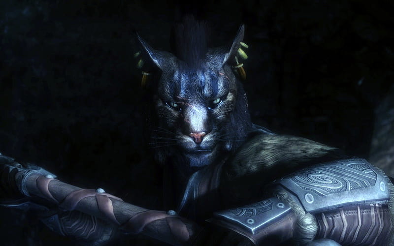 'Spirit warrior cat'......, elder scrolls, dark, skyrim, cat, eyes, animals, HD wallpaper