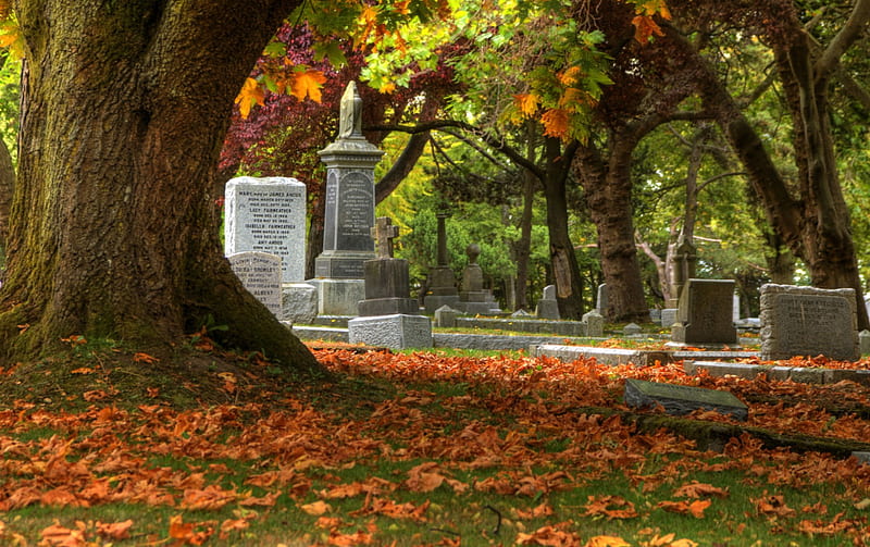 *** Autumn cementary ***, fall, autumn, nature, trees, HD wallpaper