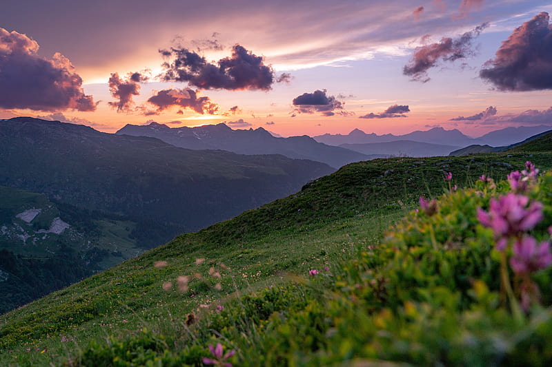 mountains, sunset, landscape, slopes, grass, flowers, HD wallpaper