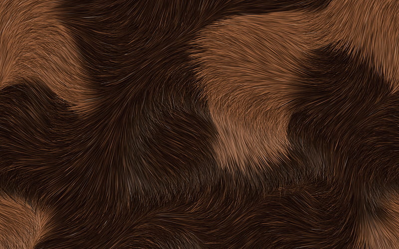 brown fur texture, macro, animal fur, wool textures, brown fur, brown fur backgrounds, close-up, brown backgrounds, brown wool texture, fur textures, HD wallpaper