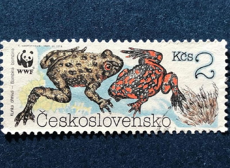 Czechoslovakia postage stamp, Czechoslovakia, Stamps, Frogs, Philatelia, HD wallpaper