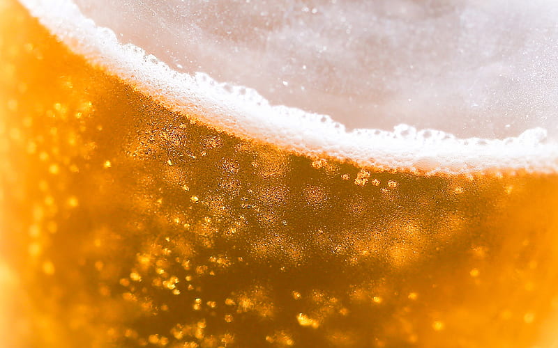 beer texture macro, glass with beer, beer foam, beer with bubbles, drinks texture, beer with foam, beer background, beer, light beer, HD wallpaper